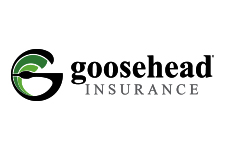 Goosehead Insurance